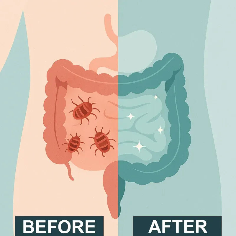 IVERLABS - Gut Detox and Digestive Support 30 Day Supply